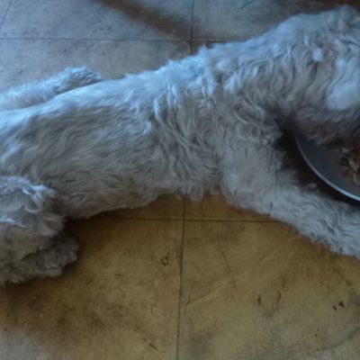 Depuis l'époque romaine ...