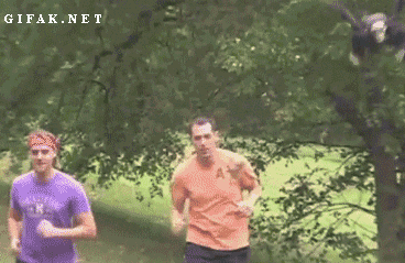 Quand une guêpe vole autour de moi...