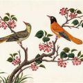 A set of six well preserved mid nineteenth century gouache paintings of birds, circa 1850