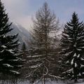 Snow near Chamonix 