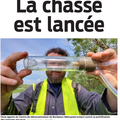 Chasse aux moustiques tigres
