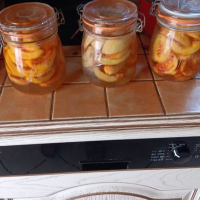 Pêche de vigne en fruit au sirop