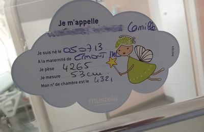 Je présente Camille