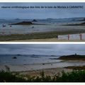 BERGAMOTE EN BRETAGNE à Morlaix et Carantec