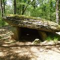 Les dolmens de Martiel