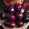 L’aubergine. Le fruit malsain. Vers 1280.