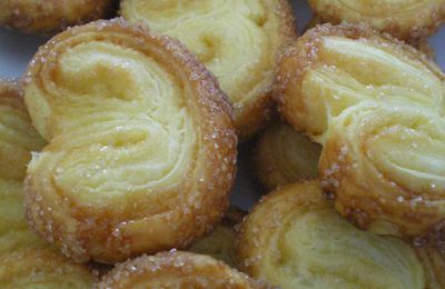 Palmier maison.