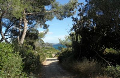 Pour les pauvres humains 