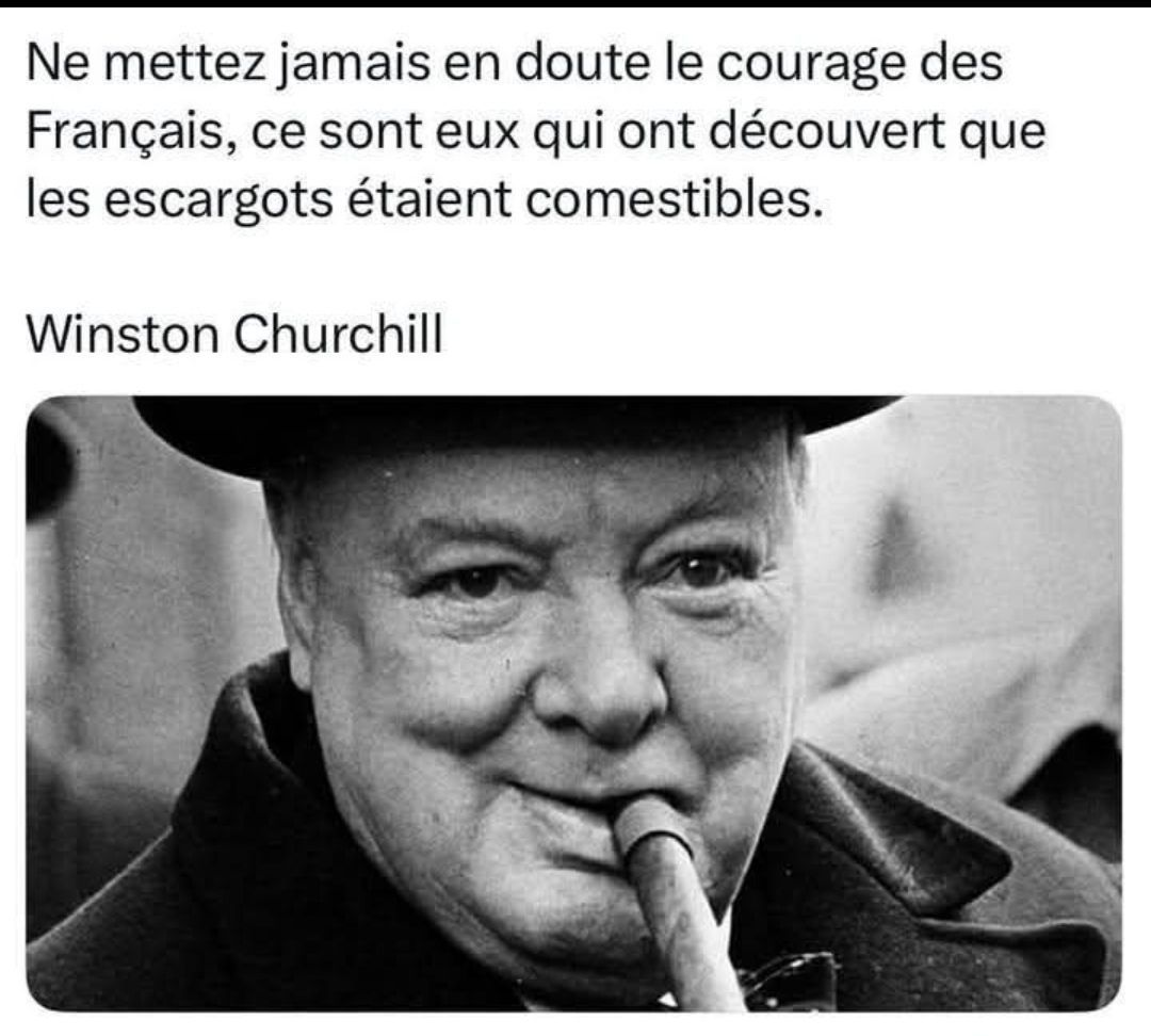 Le courage des Français par Churchill