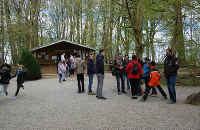 ça c'est passé le 23 avril 2016 : accrobranche avec le comité des fêtes