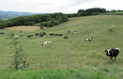 Une bonne promenade