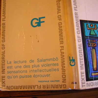 « Je fais du style cannibale. On marche dans les tripes. » (Lire Salammbô)