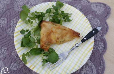 Brick de restes de légumes recuisinés