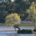 Paysages paisibles de Loire en début d'automne