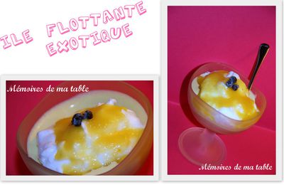 ILE FLOTTANTE EXOTIQUE