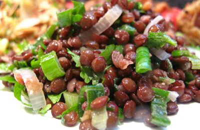 salade de lentilles aux 2 oignons et aux herbes