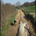 Transhumance de printemps !