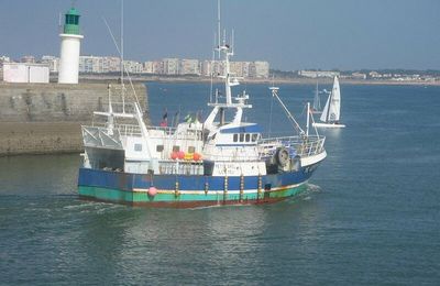 Coquilles st Jacques miellées dans leur coque d'ananas au riz thaï