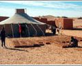 "Polisario" debe aceptar cualquier propuesta seria de Rabat para arreglo cuestión Sahara occidental