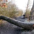 Rando vtt à Miramont de Guyenne......