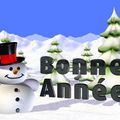 BONNE ANNEE !!!