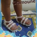 Les méduses de Gramoune