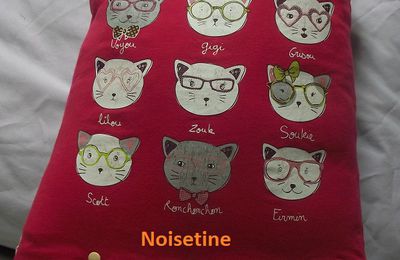 housses de coussins en tshirt