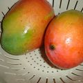 confiture mangue abricot