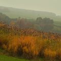 Paysages d'automne