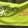 Réouverture au printemps de la Roseraie de Morailles