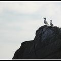 "Tout là haut"