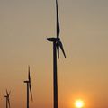 projets de parcs éoliens autour du Mont-Saint-Michel : l'UNESCO demande leurs suspensions