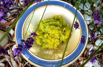 PURÉE COURGETTES-CURRY-COCO