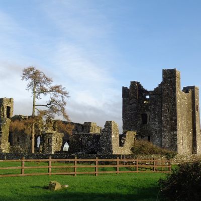 Pour cette fois, point d'Angleterre... 