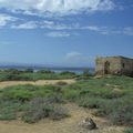 L'Erythrée, paradis naturaliste au bord de la mer Rouge