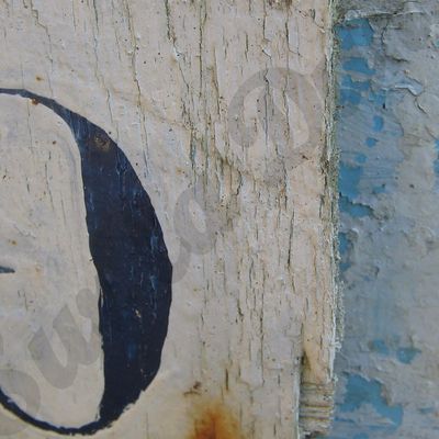 Couleurs de plates ... "BLEU"