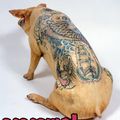 Tattooed pigs par Wim Delvoye (Beijing - 2005)