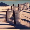 SCULPTURES GLACEES sur SANCY!