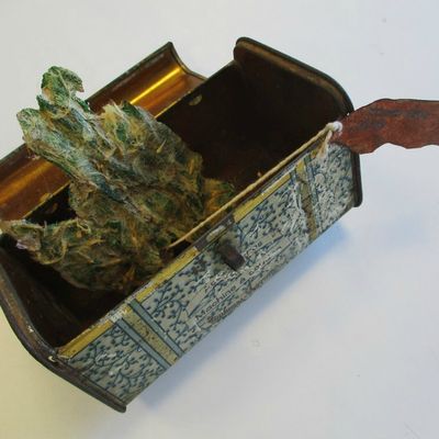 Mise à jour : "Peau d'extraterrestres" des 3èmeC