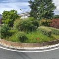 Rond-point à Le Plessis-Robinson