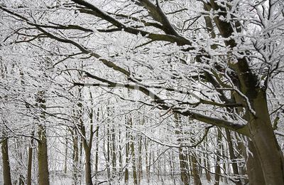 Retour at the school...la neige au rdv!