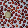 COUPON COCCINELLES 92 X 22 CM - 2.50 euros + 1.10 euro fdp