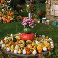 Fête du potiron réussie , avec le soleil présent au rendez-vous