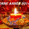 Meilleurs vœux pour cette nouvelle année!!! 2014!!!
