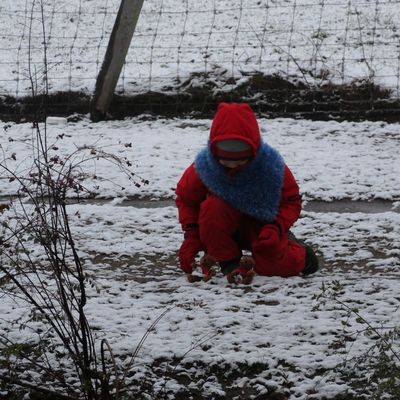 2 oursons de Montréal et un peu de neige