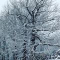 LA NEIGE...