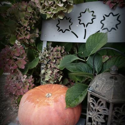 Jardin d'Automne ...