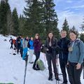 Sortie sans raquettes Col du Marchairuz janvier 2025