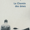 Le chemin des âmes