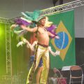 Le Brésil à la Foire internationale de Rennes le 29 mars 2014 (7)